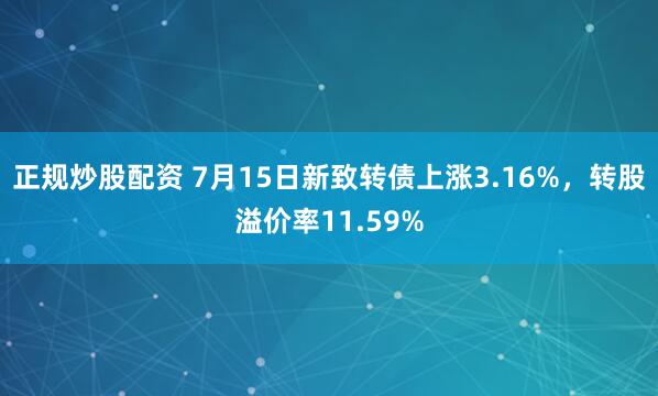 正规炒股配资 7月15日新致转债上涨3.16%，转股溢价率11.59%
